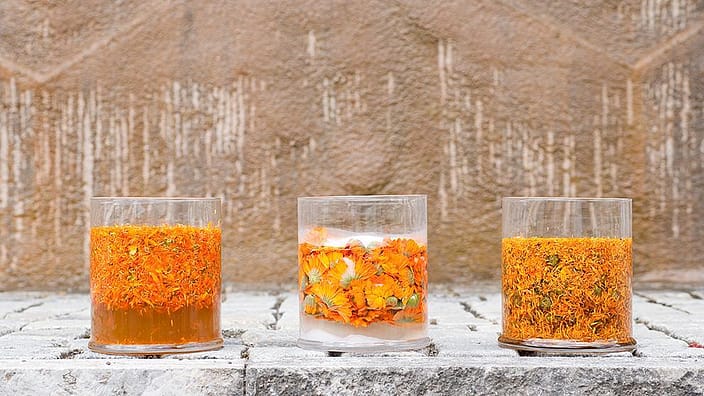 glasses with Calendula flowers