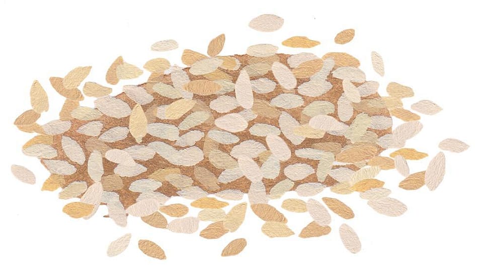 Sesamum Indicum Seed Oil