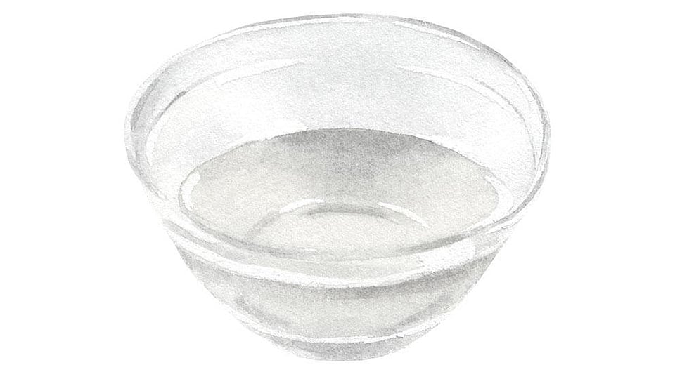 Lactobacillus Ferment Lysate