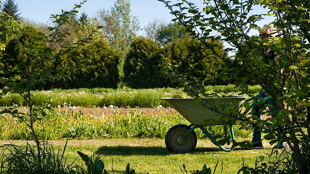 weleda garden